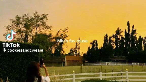🫂🦢💞