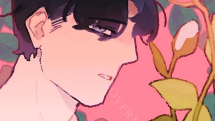 【OC/animation meme】Looking Dolly