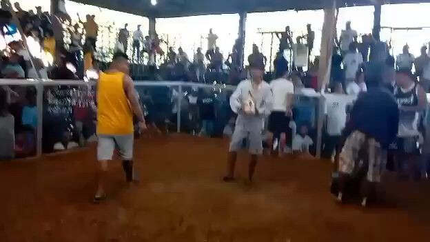 2wins champ.  biboy line gamit mga idol