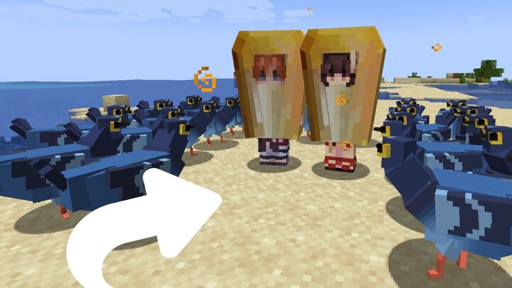 เมื่อเพิ่มนกพิราบสุดเพี้ยนลงในเซิร์ฟเวอร์ MC (ผู้เล่น: นี่มันนกอะไรเนี่ย ฉันเต้นไม่ไหวแล้ว 😩)