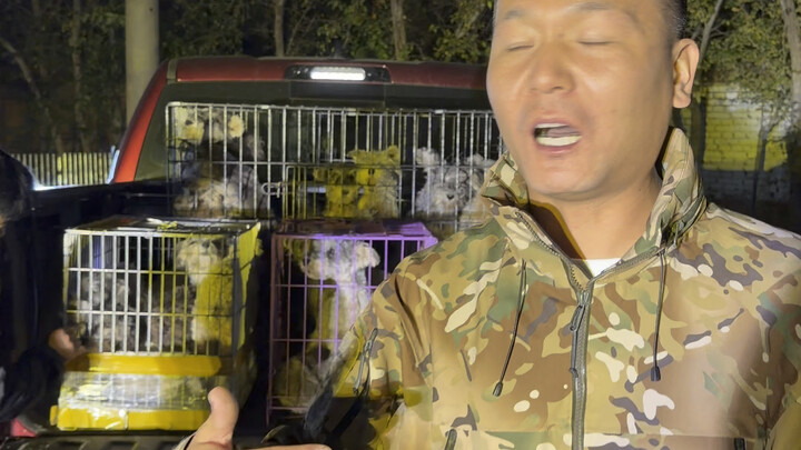 Rescuing 24 little cuties