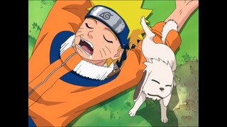 Sakura se Tropieza y Akamaru Orina a Naruto | Español Latino