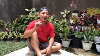 Hallo semua Kenalan yuk kawan ?
