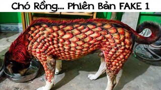 Khi Nuôi Chó Mà Bạn Muốn Biến Nó Thành Rồng FAKE 1... Thanh Niên Này Nhận Hậu Quả Khó Lường!