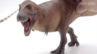 ภาคสุดท้ายของซีรีส์ Tyrannosaurus Rex? รีวิว PNSO กอร์กอน