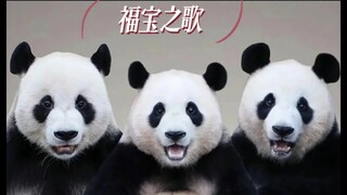 Samsung secara khusus menulis Lagu Fubao untuk putri kecil konglomerat, panda raksasa Fubao