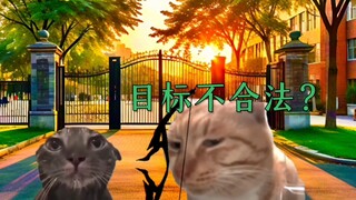 假如可以给任何东西附魔 ？