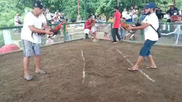 walang kaliskis na may tahid 1x winner 2nd fight draw