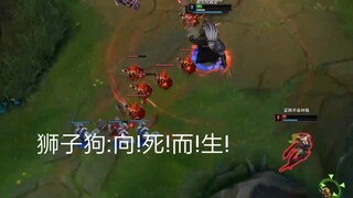 狮子狗:向!死!而!生!