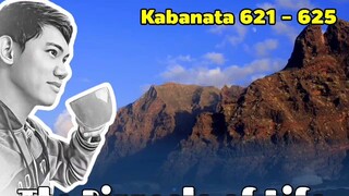 The Pinnacle of Life / Kabanata 621 - 625