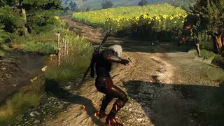 The Witcher 3 - We witchers have special driving skills