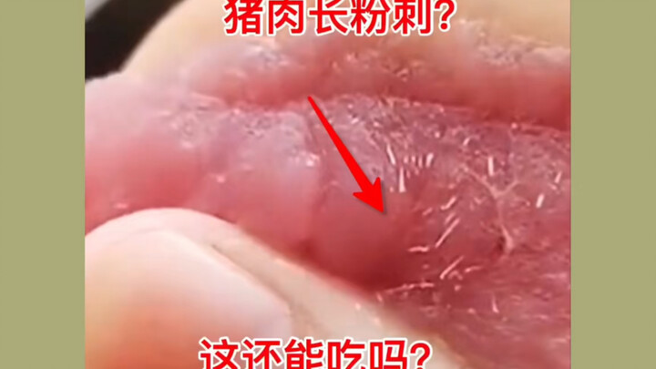 Thịt lợn nổi mụn, vậy còn ăn được không?