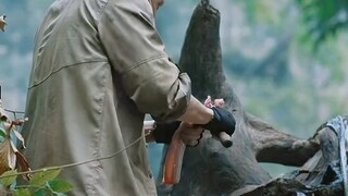 Surviving in the tropical rainforest is really a technical job.