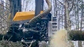 Không người đàn ông nào có thể cưỡng lại được một cỗ máy khai thác gỗ như thế.