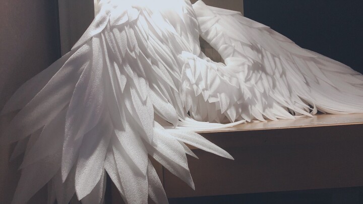 Handmade Wings