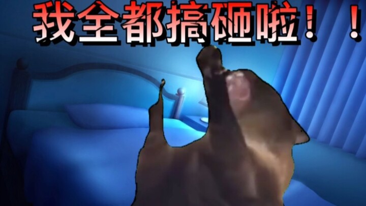 【猫meme】 不想考公的美术生被逼着备战考公的大四寒假