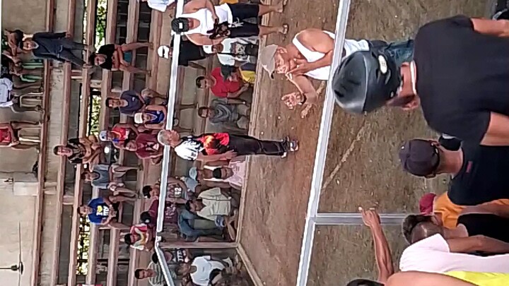 second fight win