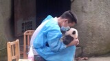 Hari Berciuman Dunia - Bagaimana Rasanya Berciuman dengan Bayi Panda?