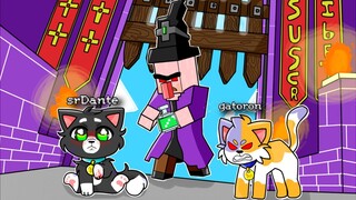 ¡UNA BRUJA MALVADA ME TRANSFORMA EN GATITO!😨😭¿AHORA SOY SRGATITO?😮MINECRAFT ROLEPLAY SRDANTE