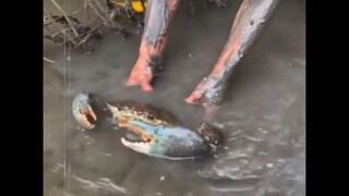 Chiêu này tôi hiểu, đánh đông dẹp tây