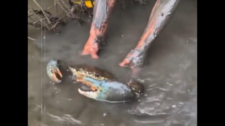 أنا أفهم هذه الحيلة، إثارة الضجيج في الشرق للهجوم في الغرب.