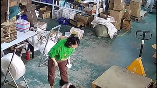 The little dog gets bullied, and the big cat steps in for revenge!