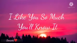 I like you so much you'll know it (Lyrics)