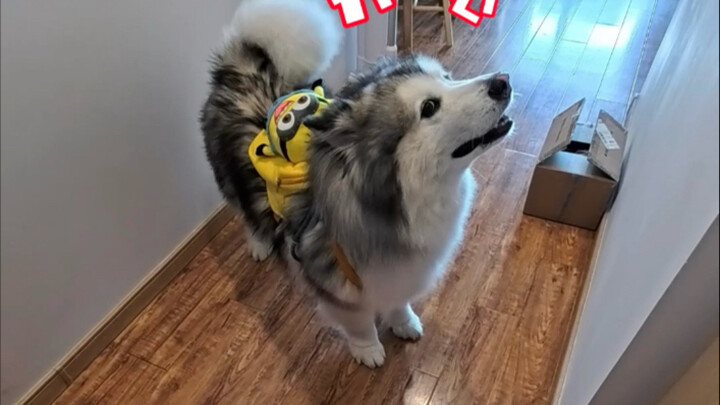 Another busy day taking care of the kids!