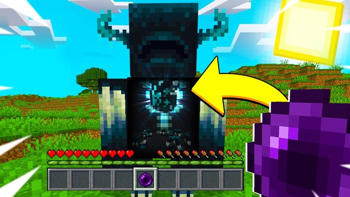 MC, but can players enter any creature's body?