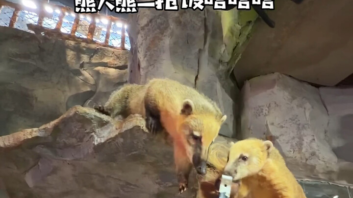 Can we have more zoos like this?
