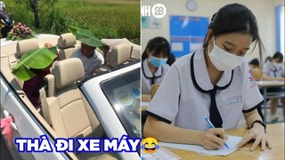 Đi mui trần đúng hôn nắng, lịch thi THPT 2022 - Top bình luận hài hước Face Book.