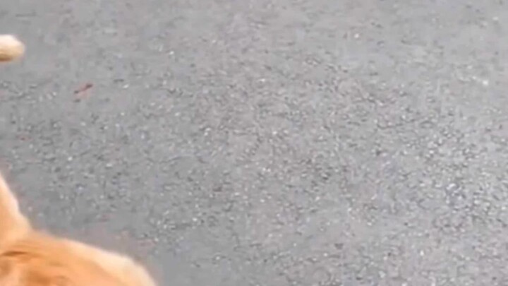 اختيار مؤثر!