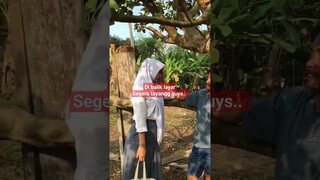 #shortvideo #shortsyoutube #filmkomedi #filmpendek #lucu #komedi #dramakomedi #bolos