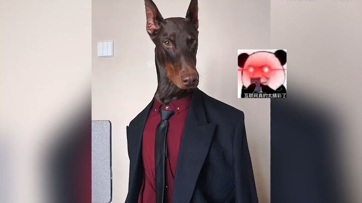 Cepetan deh, rias pacarmu!