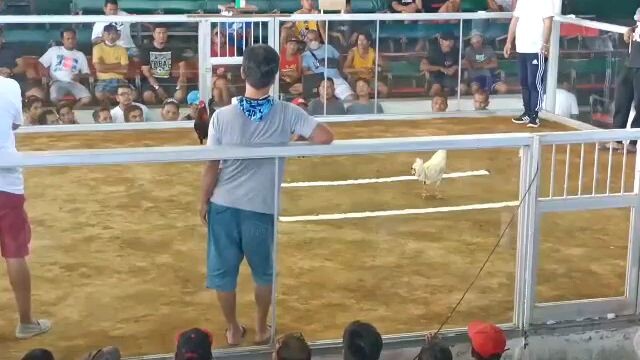 talo na naka head shot pa hehe winning line talaga