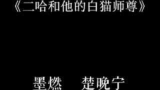 What are their names? Do you remember them all?