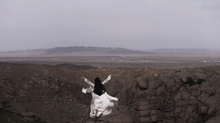 寄蜉蝣于天地  渺沧海之一粟