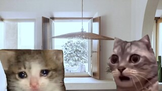 International Students Redefine Degradation #InternationalStudents #StudyingAbroad #ForeignStudent #