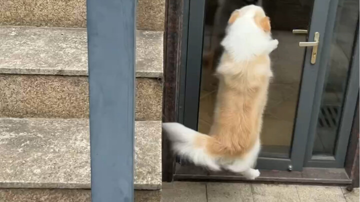 I was too busy today and was late to pick up Bella. Look how upset she was. She complained as soon a