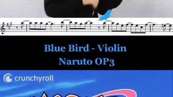 Blue Bird-Violin NarytoP3