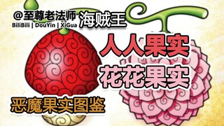 [หนังสือภาพประกอบ Devil Fruit] การแนะนำอย่างเป็นทางการของ Renren Fruit และ Blossom Fruit มาจากเนื้อห