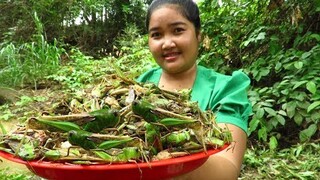 Yummy Cooking grasshopper recipe & My Cooking skill