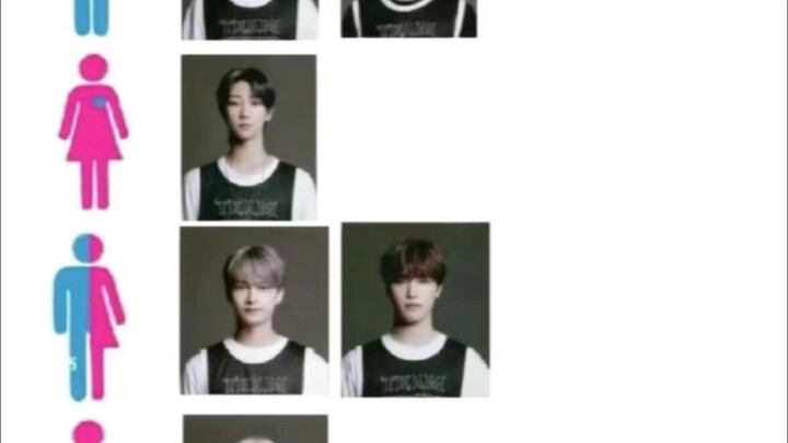 【SEVENTEEN】Bản mới của Cẩm nang Nhân vật, cứu với, sao ai cũng hợp lý đến thế!