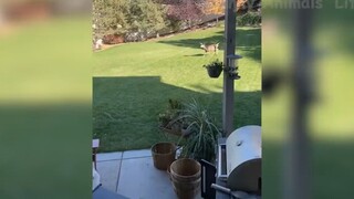 Cười ra nước mắt với những tình huống này #39