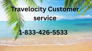 11 Ways To Contact United Airlines Customer Service By Phone, Chat and Email Options: Quick Tips