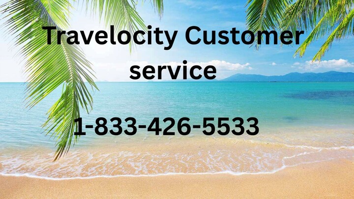 11 Ways To Contact United Airlines Customer Service By Phone, Chat and Email Options: Quick Tips