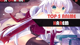 แนะนำ 5 อันดับ อนิเมะ ฮาเร็ม 11