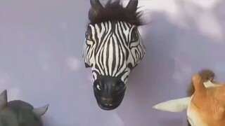 คลิปนี้มีแต่เรื่องตลก