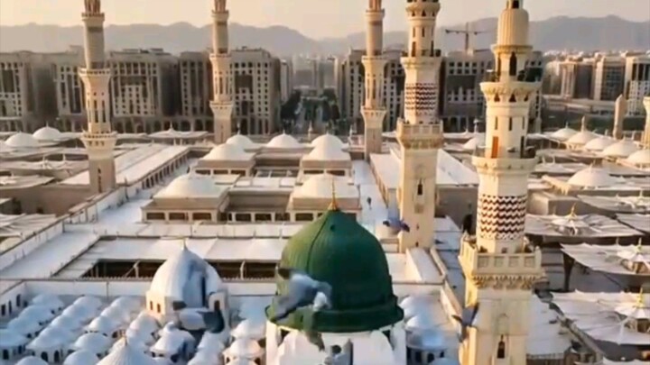 Islamic shorts video
