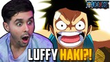 "LUFFY USES HAKI?!" One Piece Ep. 412, 413 Live Reaction!
